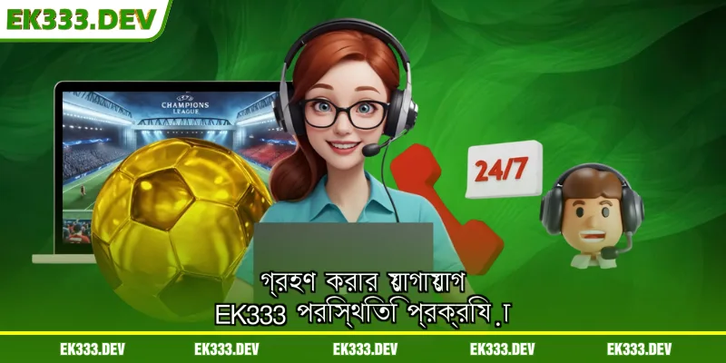 গ্রহণ করার যোগাযোগ EK333 পরিস্থিতি প্রক্রিয়া
